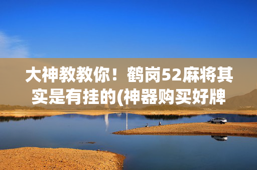 大神教教你！鹤岗52麻将其实是有挂的(神器购买好牌规律)