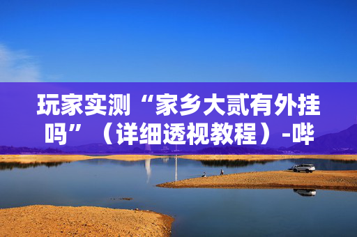 玩家实测“家乡大贰有外挂吗”（详细透视教程）-哔哩哔哩