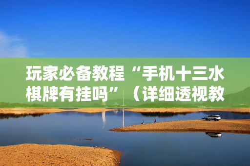 玩家必备教程“手机十三水棋牌有挂吗”（详细透视教程）-哔哩哔哩