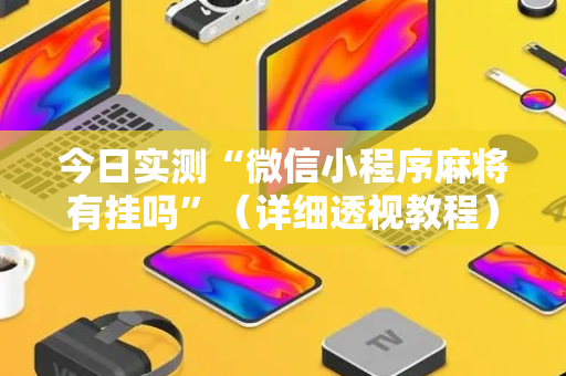 今日实测“微信小程序麻将有挂吗”（详细透视教程）-哔哩哔哩