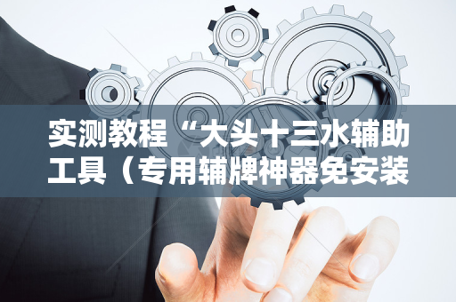 实测教程“大头十三水辅助工具（专用辅牌神器免安装）