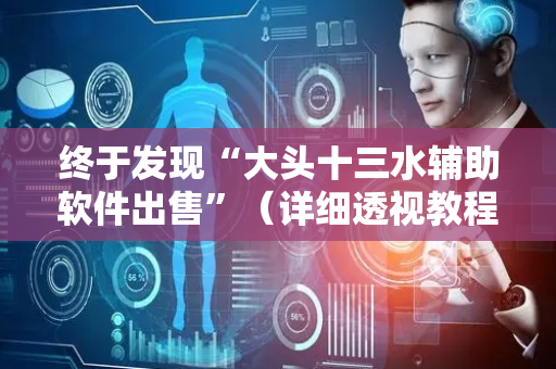 终于发现“大头十三水辅助软件出售”（详细透视教程）-哔哩哔哩