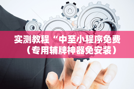 实测教程“中至小程序免费（专用辅牌神器免安装）