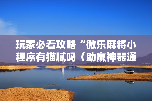 玩家必看攻略“微乐麻将小程序有猫腻吗（助赢神器通用版）
