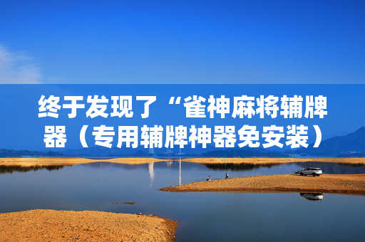 终于发现了“雀神麻将辅牌器（专用辅牌神器免安装）