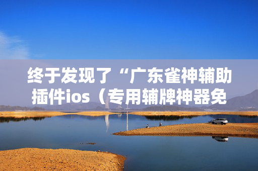 终于发现了“广东雀神辅助插件ios（专用辅牌神器免安装）