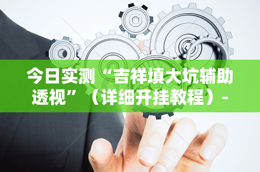 今日实测“吉祥填大坑辅助透视”（详细开挂教程）-哔哩哔哩