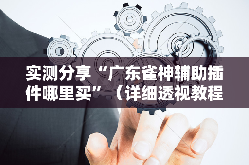实测分享“广东雀神辅助插件哪里买”（详细透视教程）-哔哩哔哩