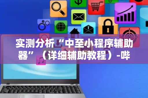 实测分析“中至小程序辅助器”（详细辅助教程）-哔哩哔哩