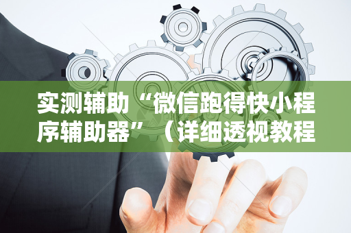 实测辅助“微信跑得快小程序辅助器”（详细透视教程）-哔哩哔哩