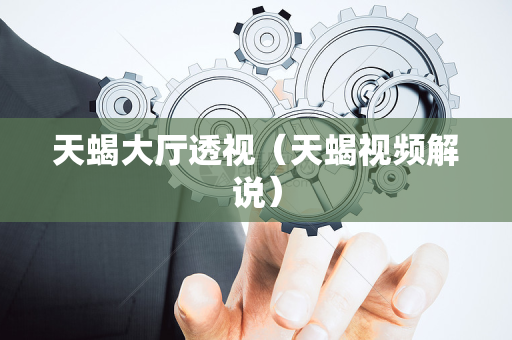 天蝎大厅透视（天蝎视频解说）