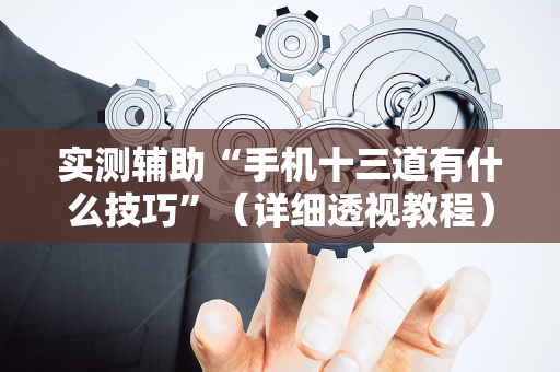 实测辅助“手机十三道有什么技巧”（详细透视教程）-哔哩哔哩