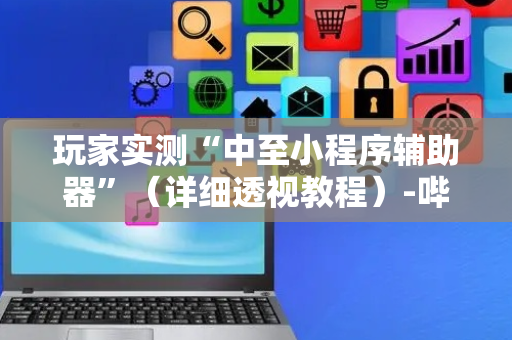 玩家实测“中至小程序辅助器”（详细透视教程）-哔哩哔哩