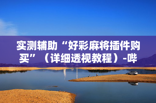 实测辅助“好彩麻将插件购买”（详细透视教程）-哔哩哔哩
