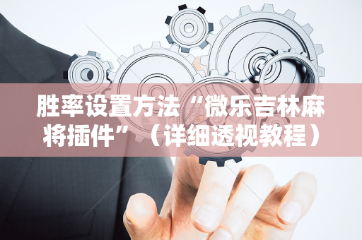 胜率设置方法“微乐吉林麻将插件”（详细透视教程）-哔哩哔哩