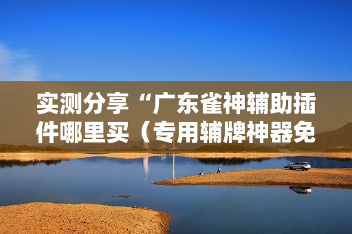 实测分享“广东雀神辅助插件哪里买（专用辅牌神器免安装）