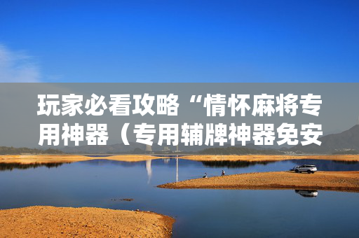 玩家必看攻略“情怀麻将专用神器（专用辅牌神器免安装）