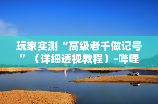 玩家实测“高级老千做记号”（详细透视教程）-哔哩哔哩