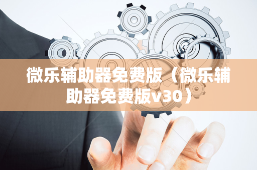 微乐辅助器免费版（微乐辅助器免费版v30）