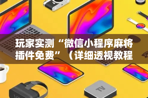 玩家实测“微信小程序麻将插件免费”（详细透视教程）-哔哩哔哩