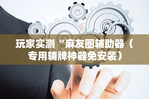 玩家实测“麻友圈辅助器（专用辅牌神器免安装）
