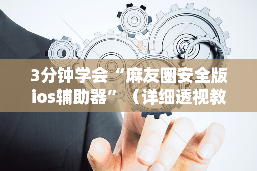 3分钟学会“麻友圈安全版ios辅助器”（详细透视教程）-哔哩哔哩