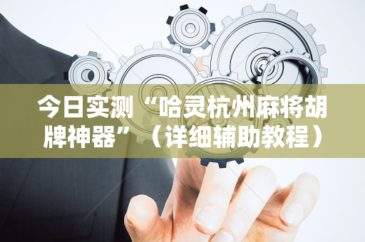 今日实测“哈灵杭州麻将胡牌神器”（详细辅助教程）-哔哩哔哩