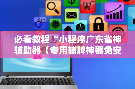 必看教程“小程序广东雀神辅助器（专用辅牌神器免安装）