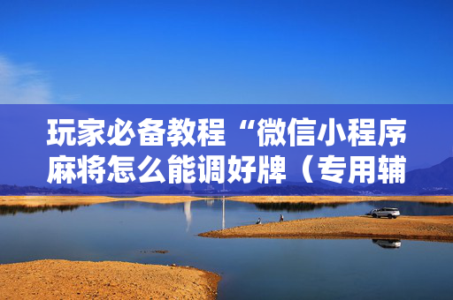 玩家必备教程“微信小程序麻将怎么能调好牌（专用辅牌神器免安装）