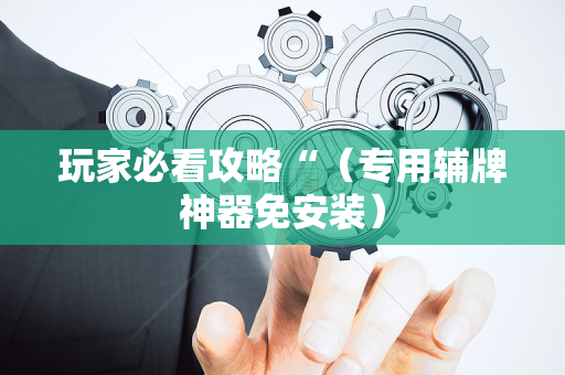 玩家必看攻略“（专用辅牌神器免安装）