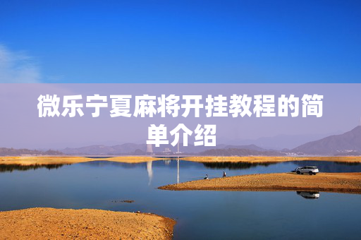 微乐宁夏麻将开挂教程的简单介绍
