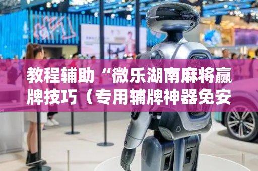 教程辅助“微乐湖南麻将赢牌技巧（专用辅牌神器免安装）