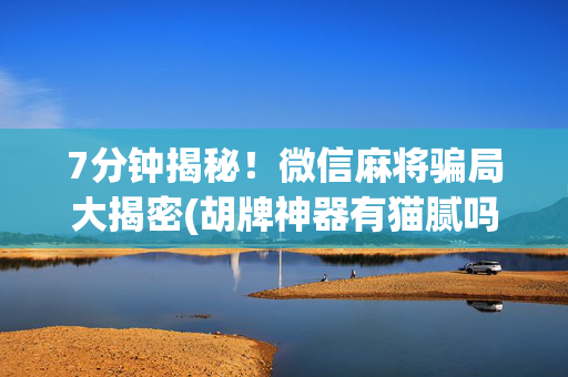 7分钟揭秘！微信麻将骗局大揭密(胡牌神器有猫腻吗)