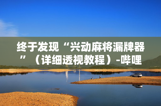 终于发现“兴动麻将漏牌器”（详细透视教程）-哔哩哔哩