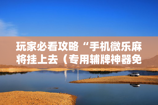 玩家必看攻略“手机微乐麻将挂上去（专用辅牌神器免安装）