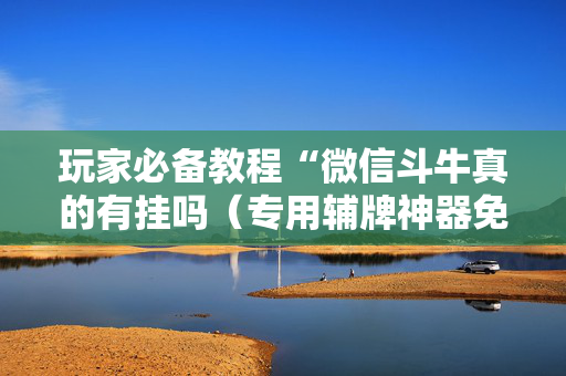 玩家必备教程“微信斗牛真的有挂吗（专用辅牌神器免安装）