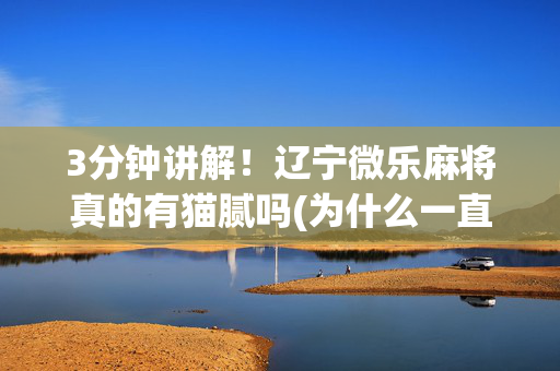 3分钟讲解！辽宁微乐麻将真的有猫腻吗(为什么一直输)