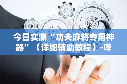 今日实测“功夫麻将专用神器”（详细辅助教程）-哔哩哔哩