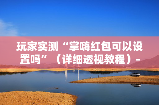 玩家实测“掌嗨红包可以设置吗”（详细透视教程）-哔哩哔哩