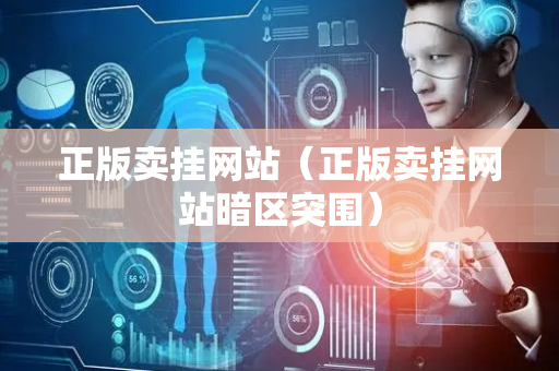正版卖挂网站（正版卖挂网站暗区突围）