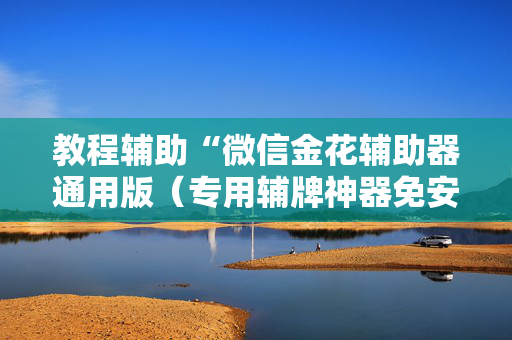 教程辅助“微信金花辅助器通用版（专用辅牌神器免安装）