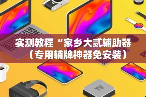 实测教程“家乡大贰辅助器（专用辅牌神器免安装）