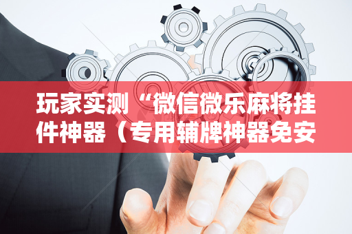 玩家实测“微信微乐麻将挂件神器（专用辅牌神器免安装）
