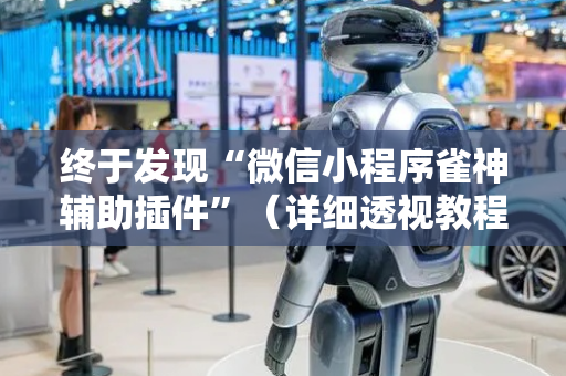 终于发现“微信小程序雀神辅助插件”（详细透视教程）-哔哩哔哩