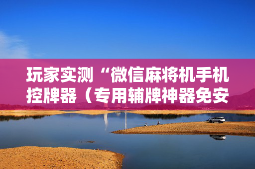 玩家实测“微信麻将机手机控牌器（专用辅牌神器免安装）