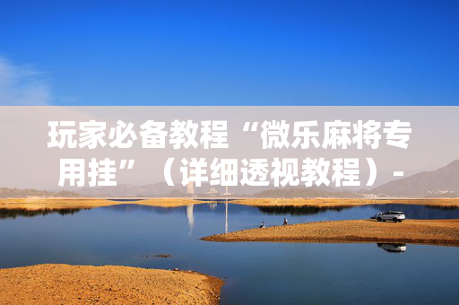 玩家必备教程“微乐麻将专用挂”（详细透视教程）-哔哩哔哩