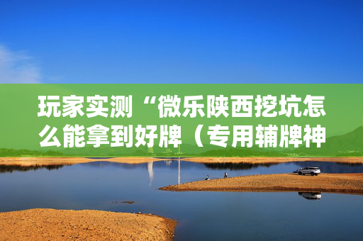 玩家实测“微乐陕西挖坑怎么能拿到好牌（专用辅牌神器免安装）