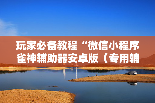 玩家必备教程“微信小程序雀神辅助器安卓版（专用辅牌神器免安装）