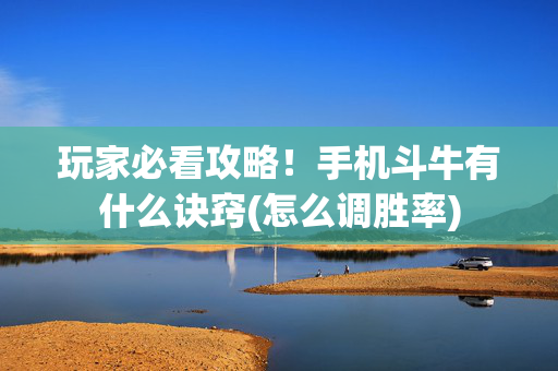 玩家必看攻略！手机斗牛有什么诀窍(怎么调胜率)