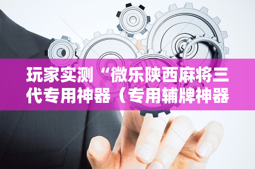 玩家实测“微乐陕西麻将三代专用神器（专用辅牌神器免安装）
